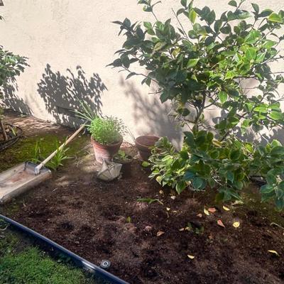 Sale Photo Thumbnail #148