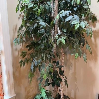 artificial ficus tree