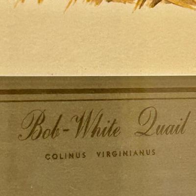 Sale Photo Thumbnail #140