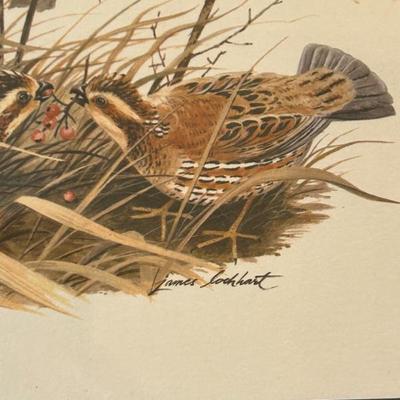 Sale Photo Thumbnail #139