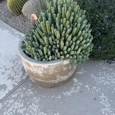 Sale Photo Thumbnail #90