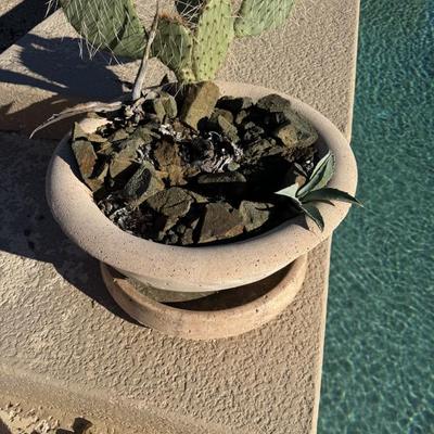 Sale Photo Thumbnail #88