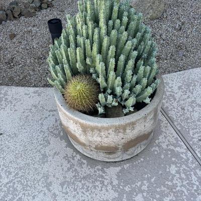 Sale Photo Thumbnail #86