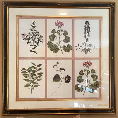 Flora and Fauna Framed Print - Large