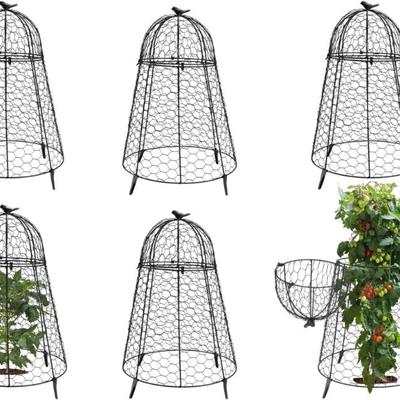 Sale Photo Thumbnail #770