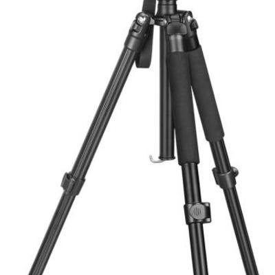 Sale Photo Thumbnail #848