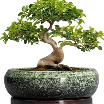 Sale Photo Thumbnail #292