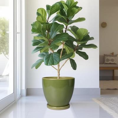 Sale Photo Thumbnail #721