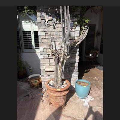 Sale Photo Thumbnail #73