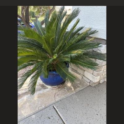 Sale Photo Thumbnail #103