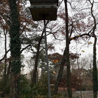 Sale Photo Thumbnail #10