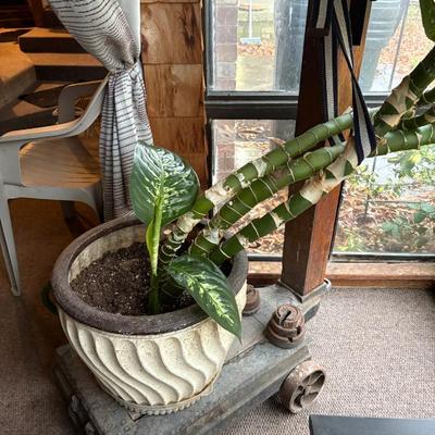 Sale Photo Thumbnail #85