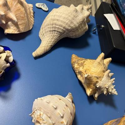 Sale Photo Thumbnail #317