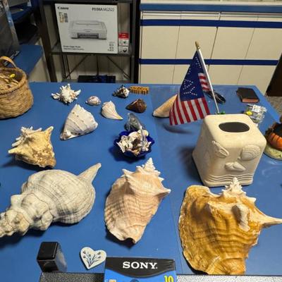 Sale Photo Thumbnail #310