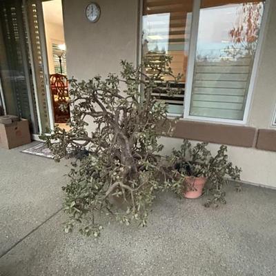 Sale Photo Thumbnail #81