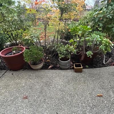 Sale Photo Thumbnail #83