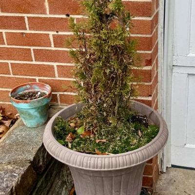 Sale Photo Thumbnail #282