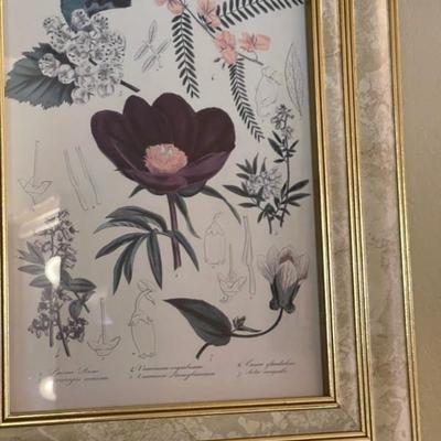 Sale Photo Thumbnail #107