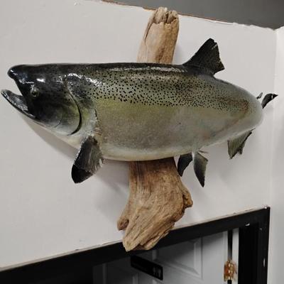 Sale Photo Thumbnail #128