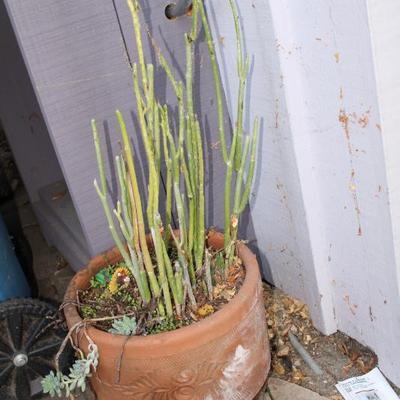 Sale Photo Thumbnail #332