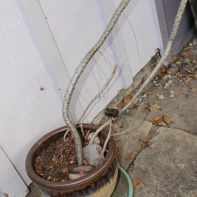 Sale Photo Thumbnail #333