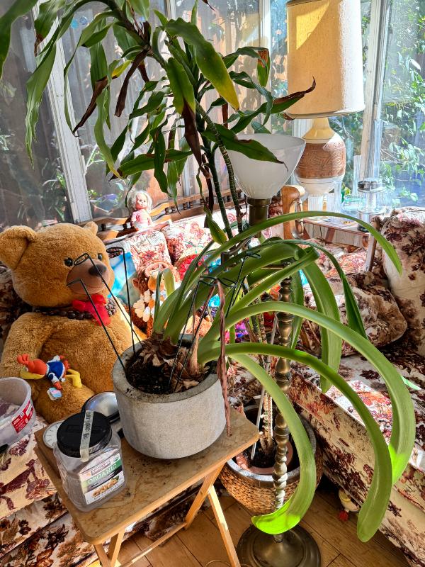 Sale Photo Thumbnail #21