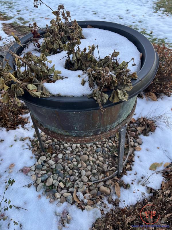 Sale Photo Thumbnail #314