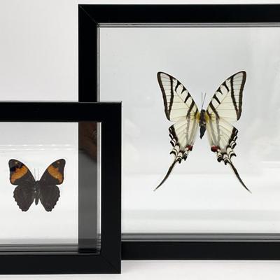 Sale Photo Thumbnail #420