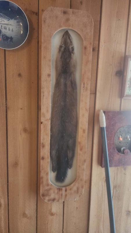 Sale Photo Thumbnail #16