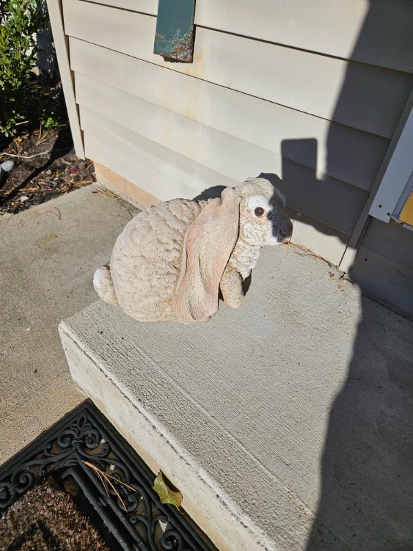 Sale Photo Thumbnail #19