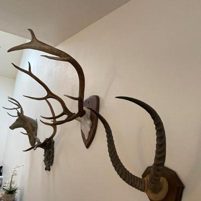 Sale Photo Thumbnail #3