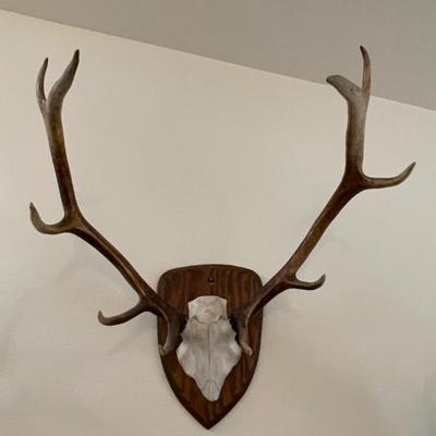 Sale Photo Thumbnail #4