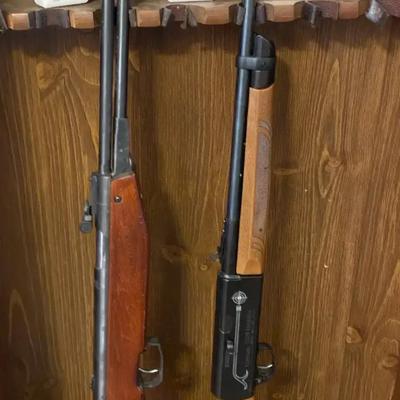 Crosman 2200 Magnum .22 Cal Pellet Rifle & Dual-Barrel Pellet Rifle