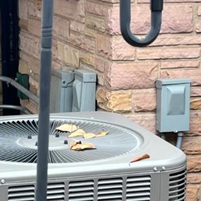 Sale Photo Thumbnail #28: Shepherds hook