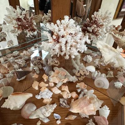 Sale Photo Thumbnail #22