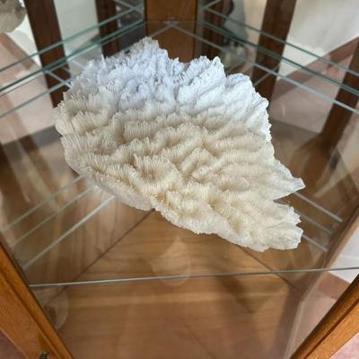 Sale Photo Thumbnail #24