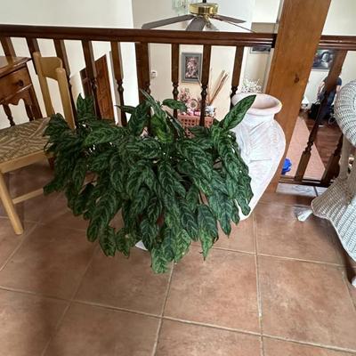 Sale Photo Thumbnail #124