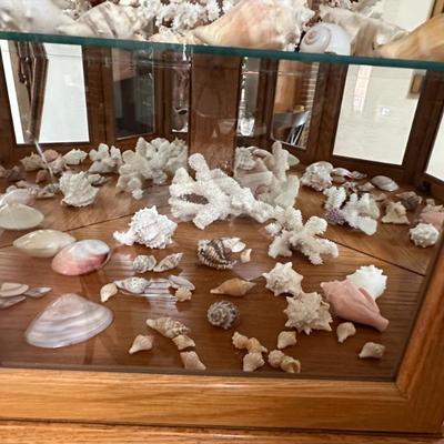 Sale Photo Thumbnail #21