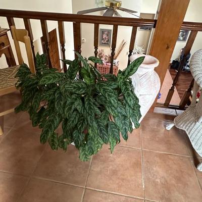 Sale Photo Thumbnail #125