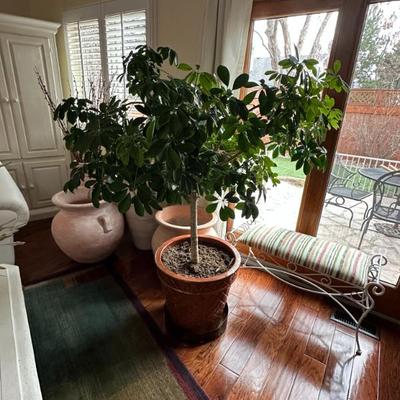 Sale Photo Thumbnail #51