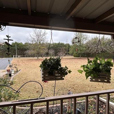 Hanging Baskets, Plus