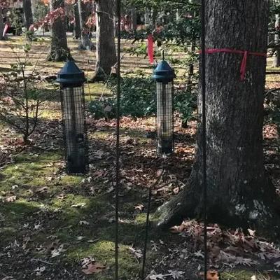 Shepherds Hooks Birdfeeders Plus