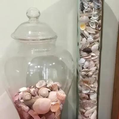 Seashell Decor