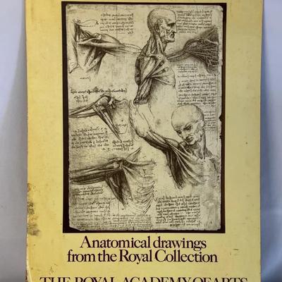 Leonardo Da Vinci Poster  Anatomical Drawing