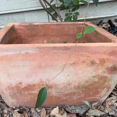 Terra-Cotta Square Planter 