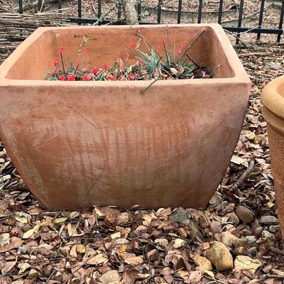 Terra Cotta Pots - Square and Round