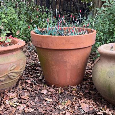 Terra Cotta Pots - Three Round