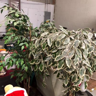 Sale Photo Thumbnail #133