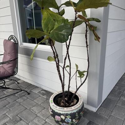 Sale Photo Thumbnail #229