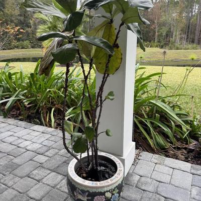 Sale Photo Thumbnail #199